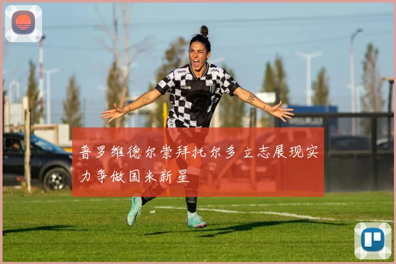 普罗维德尔崇拜托尔多立志展现实力争做国米新星