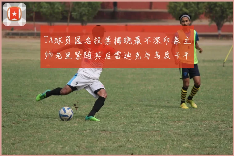 TA球员匿名投票揭晓最不深印象主帅老里紧随其后雷迪克与乌度卡平分秋色