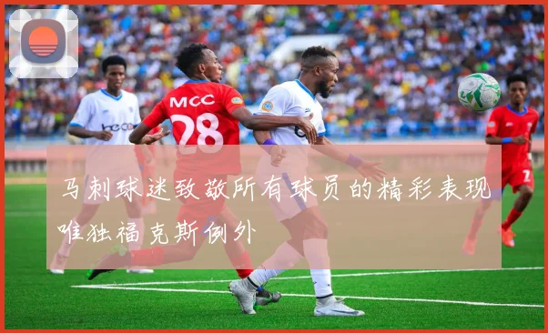 马刺球迷致敬所有球员的精彩表现唯独福克斯例外
