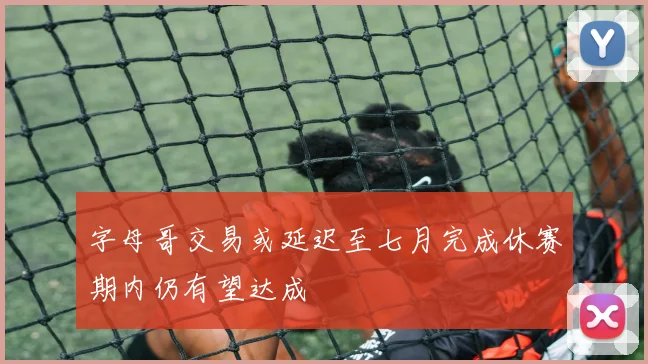 字母哥交易或延迟至七月完成休赛期内仍有望达成